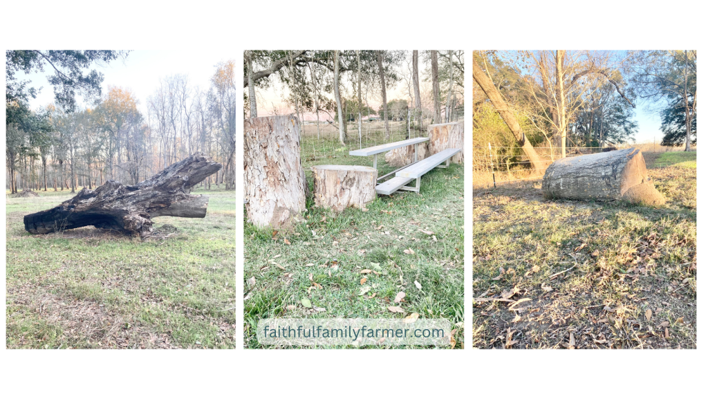 goat sleeping platforms and playground structures