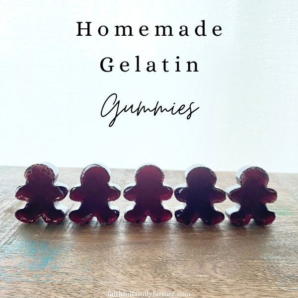 homemade gummies on a wooden table