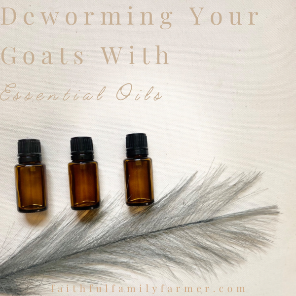 Deworming Your Goats Naturally With Essential Oils 