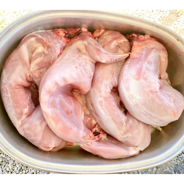 harvested rabbits in a pan