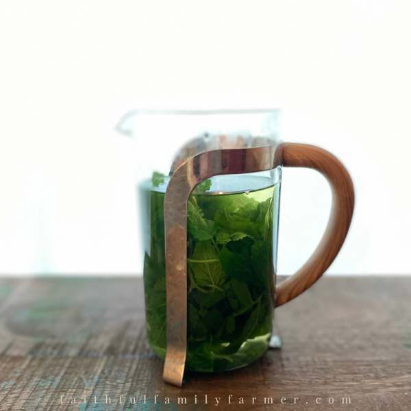 herbal tea in a French press