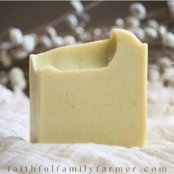 Eczema no itch bar goat milk soap